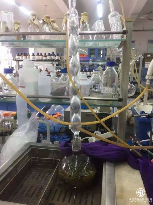 吉林柳河縣 以葡聚糖大米技術(shù)開發(fā)引領(lǐng)農(nóng)業(yè)升級(jí)，推動(dòng)農(nóng)民持續(xù)增收