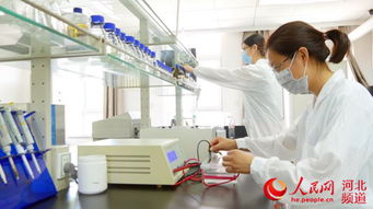 科技創(chuàng)新引領(lǐng)藍(lán)色經(jīng)濟(jì)新未來(lái)——秦皇島領(lǐng)先生物的技術(shù)開(kāi)發(fā)之路
