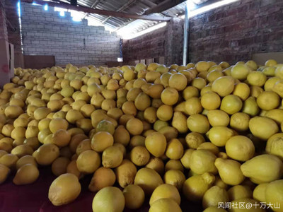 家鄉(xiāng)特色水果產(chǎn)業(yè) 產(chǎn)銷現(xiàn)狀、挑戰(zhàn)與機(jī)遇的觀察