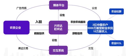 興農達運營邏輯與信息系統運行維護服務的深度融合